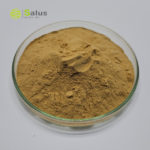 Agrocybe Cylindracea Extract