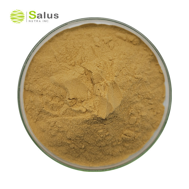 Agrocybe Cylindracea Extract