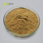 Agrocybe Aegerita Extract