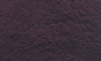 Aronia Chokeberry Extract