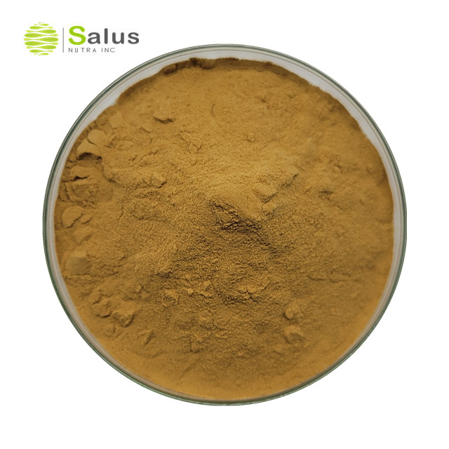 Cordyceps Sinensis Extract