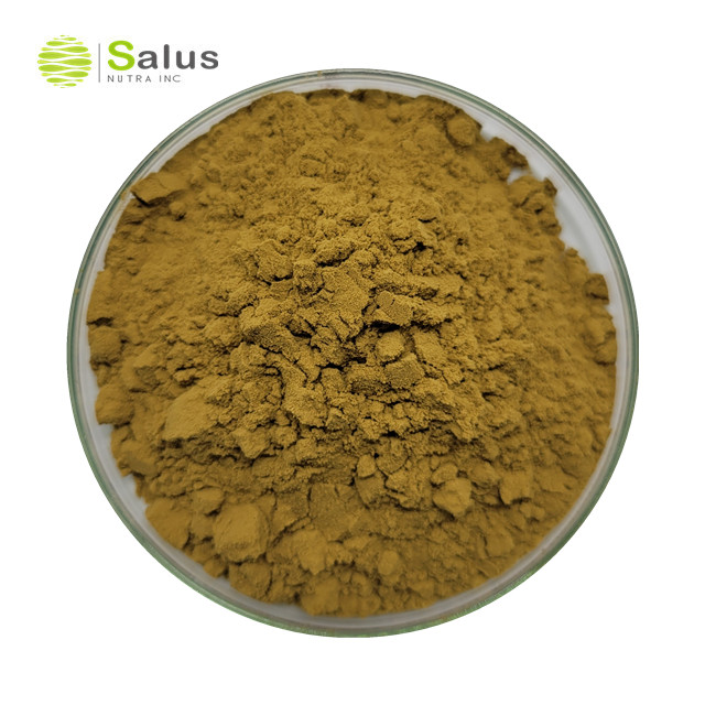 Echinacea Purpurea Extract