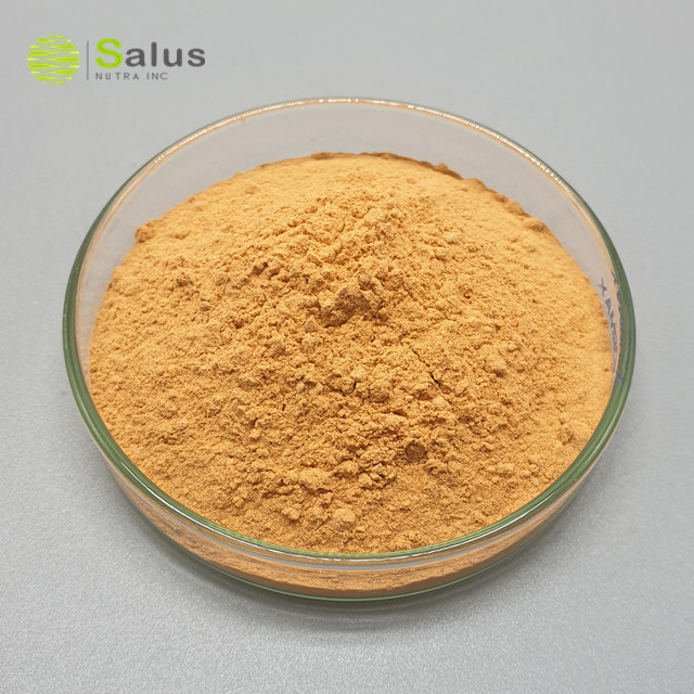 Goji Powder