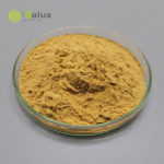 Lion’s Mane Mushroom Extract