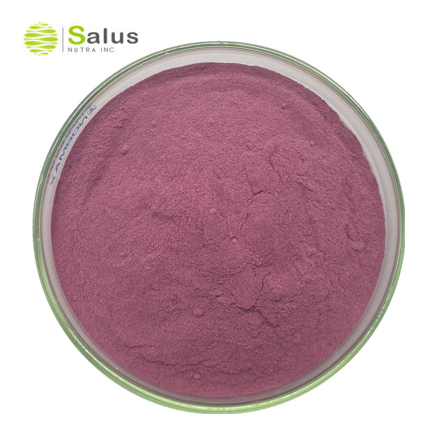 Mulberry Powder