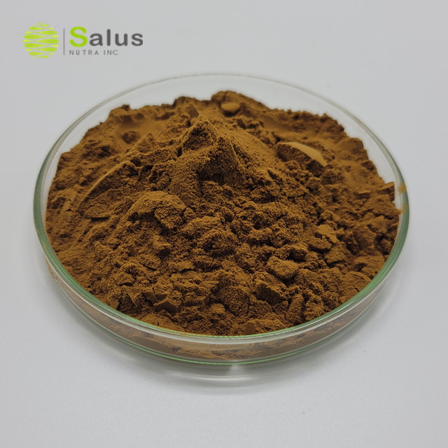 Phellinus Igniarius Extract