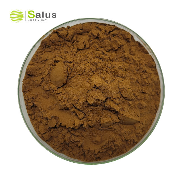 Phellinus Linteus Extract