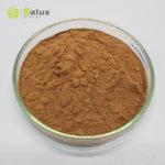 Reishi Mushroom Extract