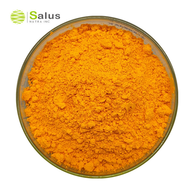 Turmeric Extract