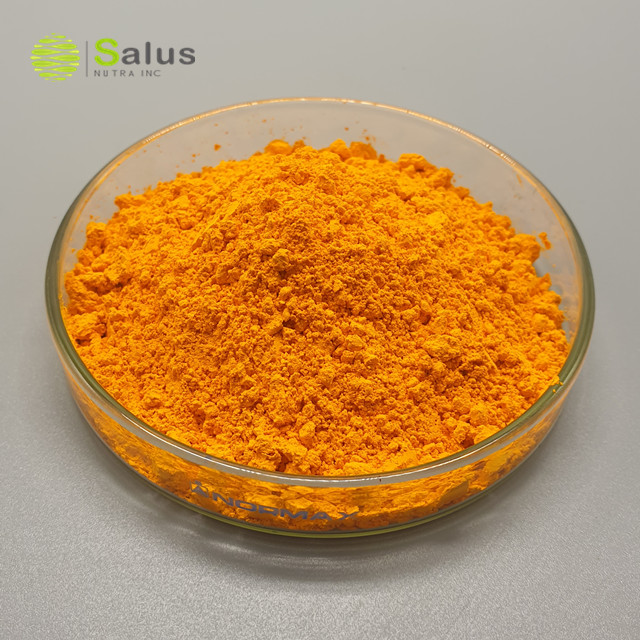 Turmeric Extract