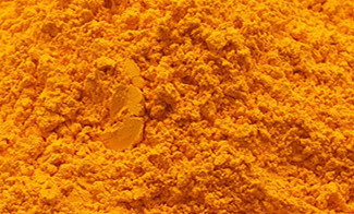 Turmeric Extract 95% USP Grae