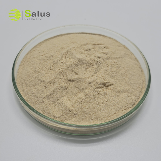 Aframomum Melegueta Extract