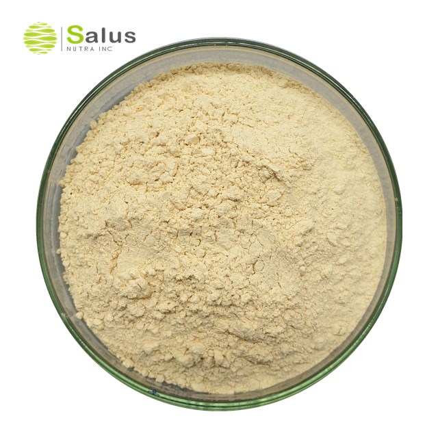 Soybean Extract