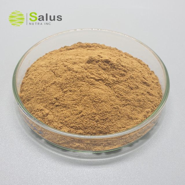 Cactus Extract