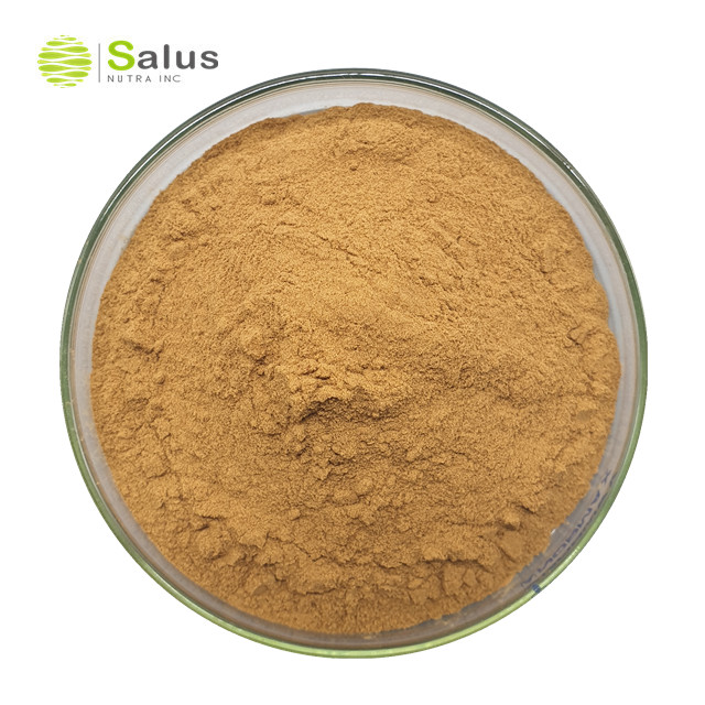 Flaxseed Extract