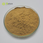 Ivy Leaf Extract