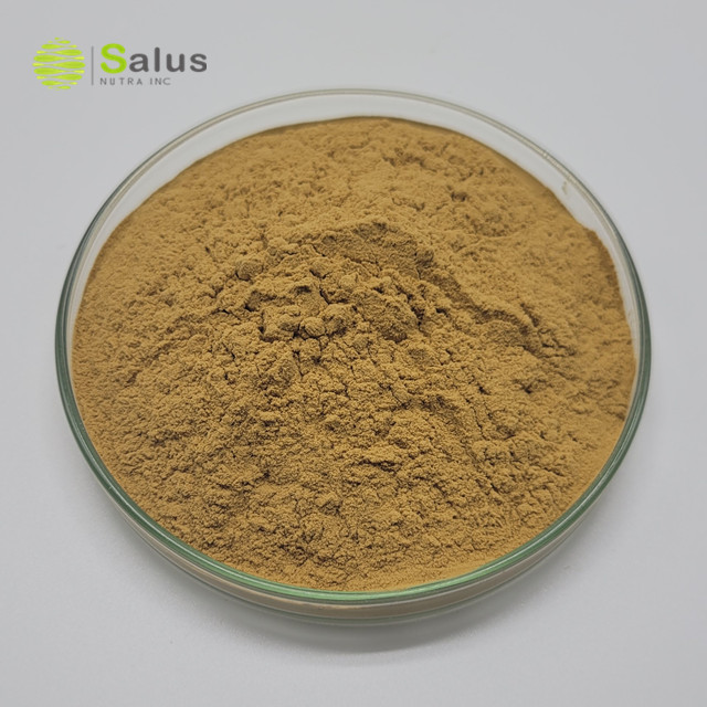 Ivy Leaf Extract