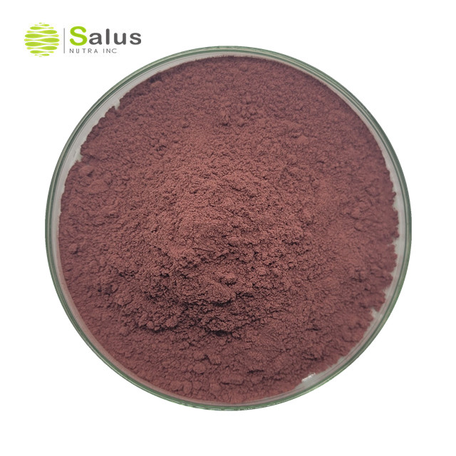 Red Yeast Rice Extract