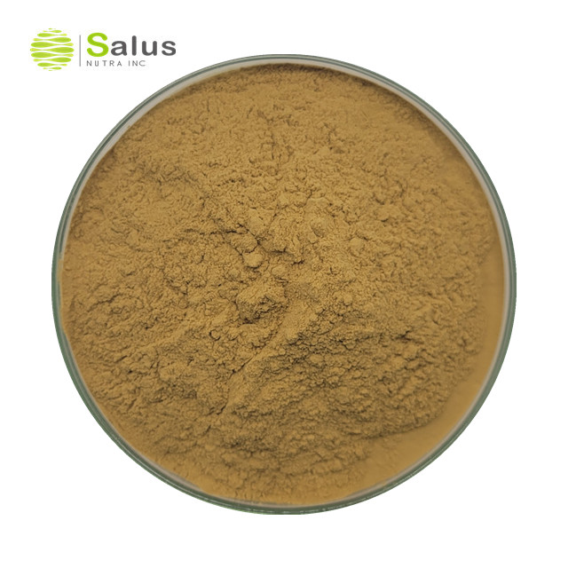 Selaginella Tamariscina Extract