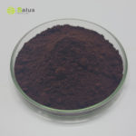 Reishi Broken Spore Powder