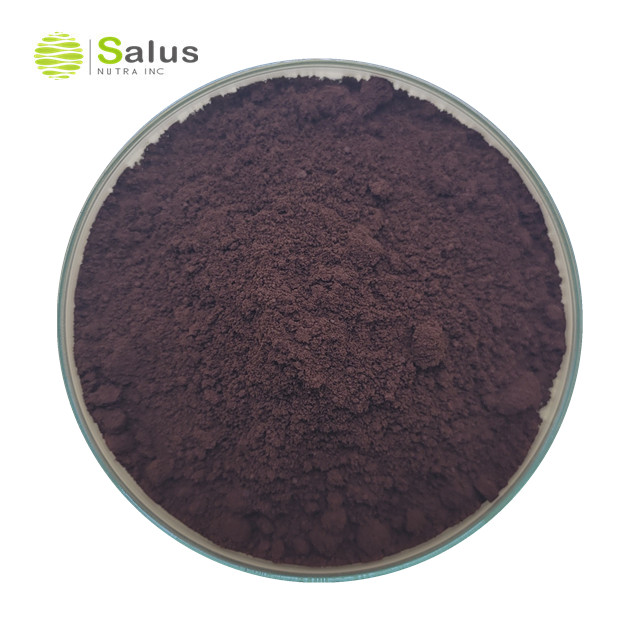 Reishi Broken Spore Powder