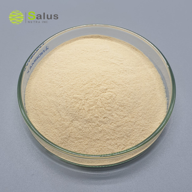 Wheat Germ Extract Spermidine